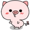 Pink Baby Pig 20