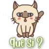 aço
que si ?