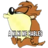 AMINI ME HABLES