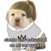 lomitos bonitos parte 4 6