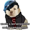 lomitos bonitos parte 4 7