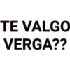 TE VALGO VERGA??