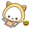 Cat cutee 16