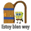 Bob llorón 25