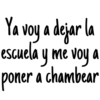 Rosa de Guadalupe 22
