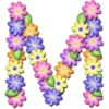 Abecedario de flores 22