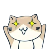 Happy Cat 8