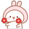 Little bunny 23