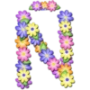 Abecedario de flores 24