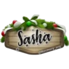 Sasha
@Rosmery_arq