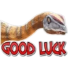 GOOD LUCK