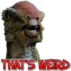 Dinosaurios memes 3 27