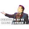 PERDONA SI TE
HAGO LLORAR
