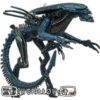 Alien vs Depredador ️ 26