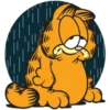 Garfield 1 17