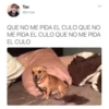 Agua de Calzon 25