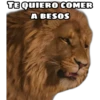 Narnia 14