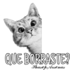 QUE BORRASTE?
Shasep Arsenas