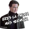 ERES LA BRUJA
MÁS HERMOSA
@josejuanlr98