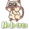 No lo creo