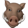 Memoji de javali 15