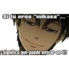 Si tú eres "mikasa"..
ESignifica que puedo entrar en ti?