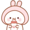 Little bunny 26