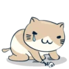 Happy Cat 9
