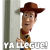 Woody (Toy Story 4) 25