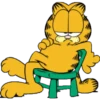 Garfield 28