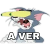 AVER