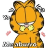 Ya
Bla
Me aburro
Ya
Bla