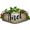 Anel
@Rosmery_arq