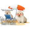 *tolo el mar caribe*
Todo el mar caribe,
Viendo tu cintura