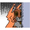 Wonderful Orange Cat 5