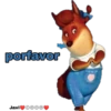 porfavor
Javi Dove
