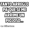 TANTO ARREGLO PAQUESE ME ARRIME UN PIOJOSO. La Gilbertona