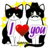 Frases de Gato Charles 8