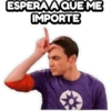 The Big Bang Theory 8
