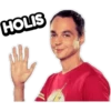 The Big Bang Theory 11