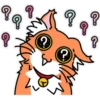 Wonderful Orange Cat 8