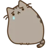 Pusheen Expressions 6
