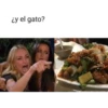 ¿y el gato?
