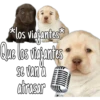 *los viajantes
Que los viejanties
se van a
atrasar
mmm
