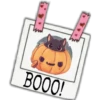 Notas Cute 6