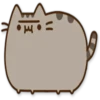 Pusheen Expressions 7