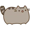 Pusheen Expressions 8