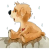 osito Cariñoso Cute 11