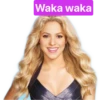 Shakira 12