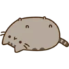 Pusheen Expressions 11